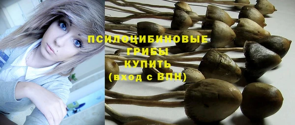 экстази Абаза