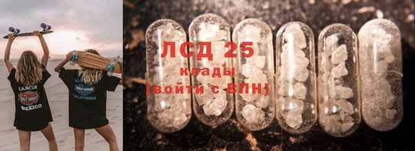 spice Алзамай